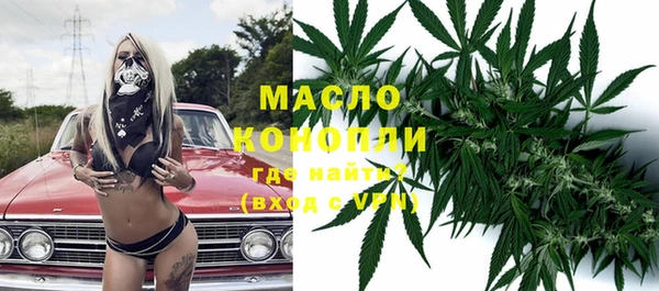 крисы Абаза