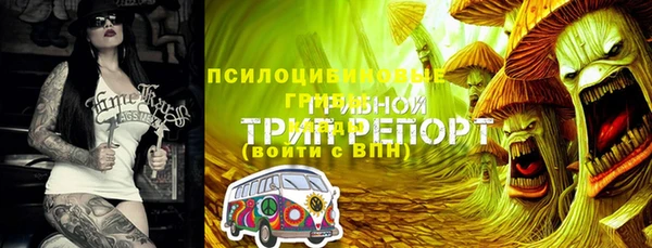 дживик Алексин