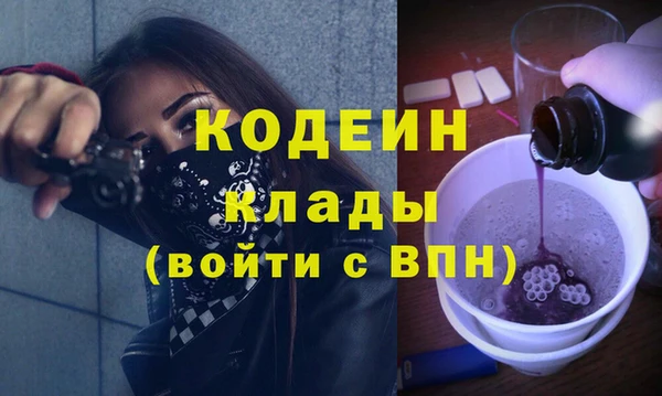 крисы Абаза