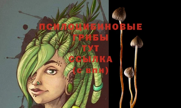 каннабис Алзамай