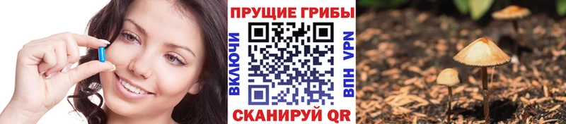 Псилоцибиновые грибы прущие грибы  Барыш 